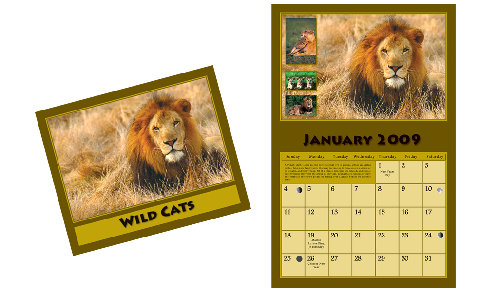 Wildlife Big Cat Calendar