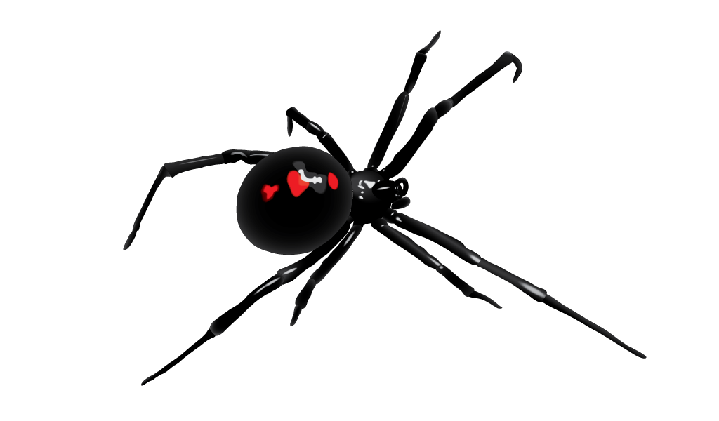 Blackwidow Spider Vector Illustrations