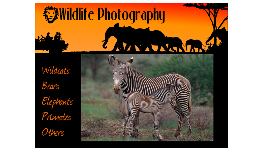 Wildlife Photography Website